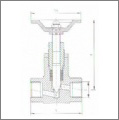 大連式內(nèi)螺紋針形閥