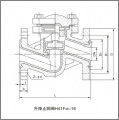 升降式襯氟止回閥