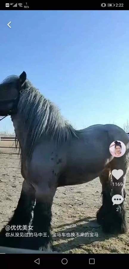 国产小狗的视频,萌宠日常，温馨瞬间大盘点