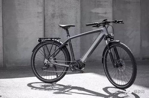 国产自行车历史视频大全,历史视频大全回顾