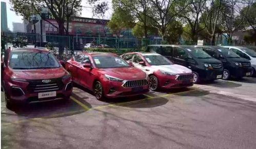 国产进口汽车视频