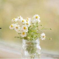 国产aa视频小雏菊