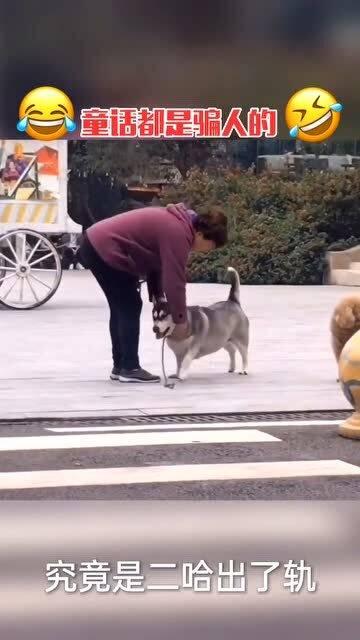 国产搞笑沙雕视频大全集,带你领略欢乐无限