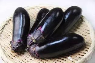 茄子国产色视频在线观看,揭秘茄子色情产业的秘密