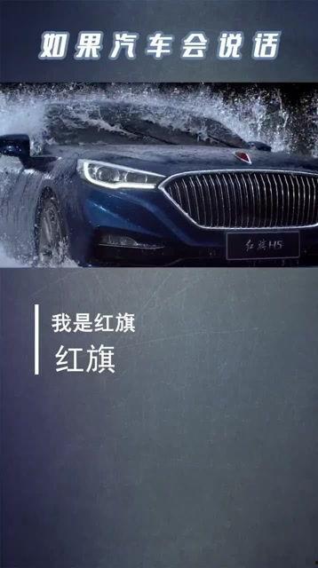 国产车不牛视频,揭秘“不牛”背后的真实实力与未来展望