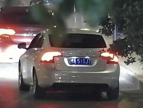 国产车违停视频真实图片,国产车违停引发热议，网友热议停车规范与城市秩序  第1张