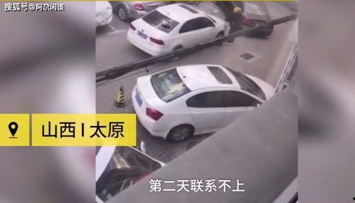 国产车违停视频真实图片,国产车违停引发热议，网友热议停车规范与城市秩序  第2张