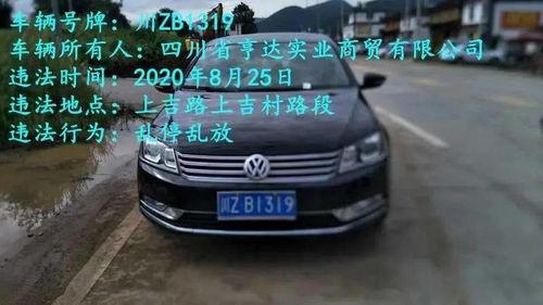 国产车违停视频真实图片,国产车违停引发热议，网友热议停车规范与城市秩序  第3张