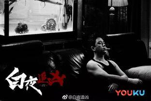 国产悬疑之光视频,揭秘惊心动魄的悬疑故事  第2张