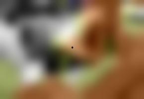 国产射脸上视频,视频展示震撼效果  第2张