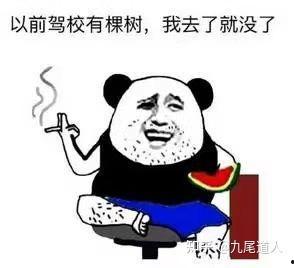 h2国产摩托车视频,H2视频解析，驾驭激情，驰骋赛道